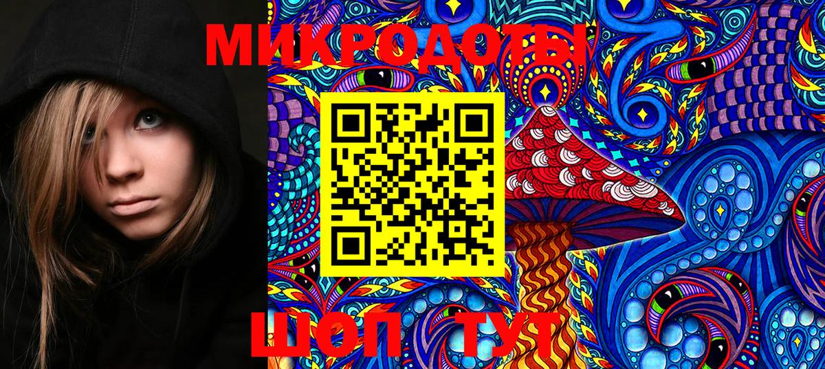 Шебекино  Псилоцибиновые грибы Cubensis  Псилоцибиновые грибы Psilocybe  Вход с VPN 